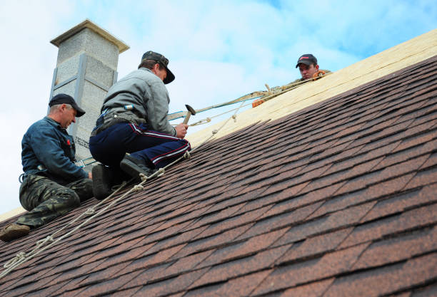 Best Roof Gutter Cleaning  in Bothell, WA
